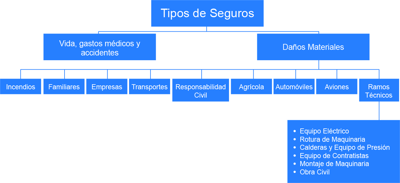 Tipos de Seguros